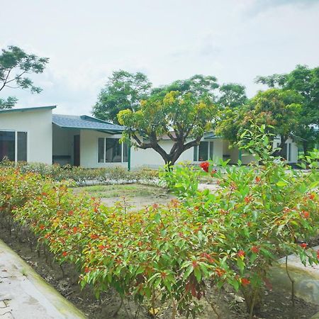 Sukoon - A Wellness Resort, Uttarakhand Chuharpur Buitenkant foto