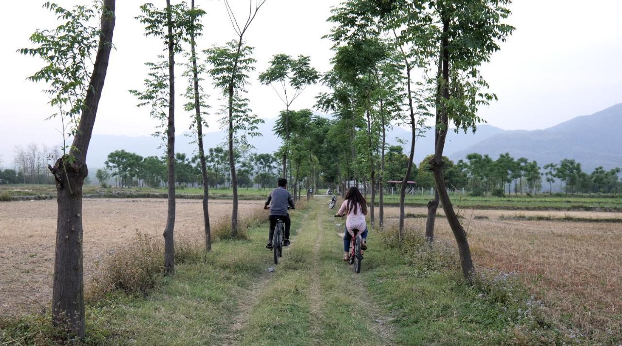 Sukoon - A Wellness Resort, Uttarakhand Chuharpur Buitenkant foto
